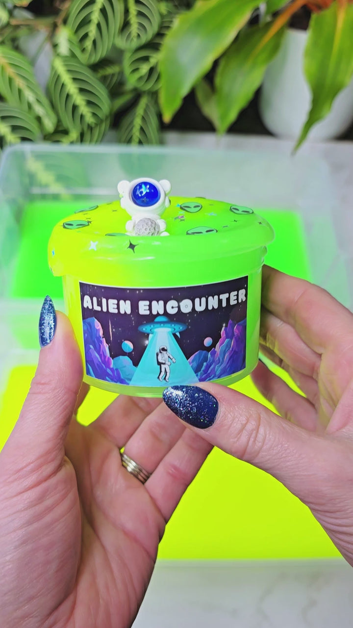 Alien Encounter