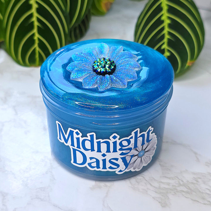 Midnight Daisy