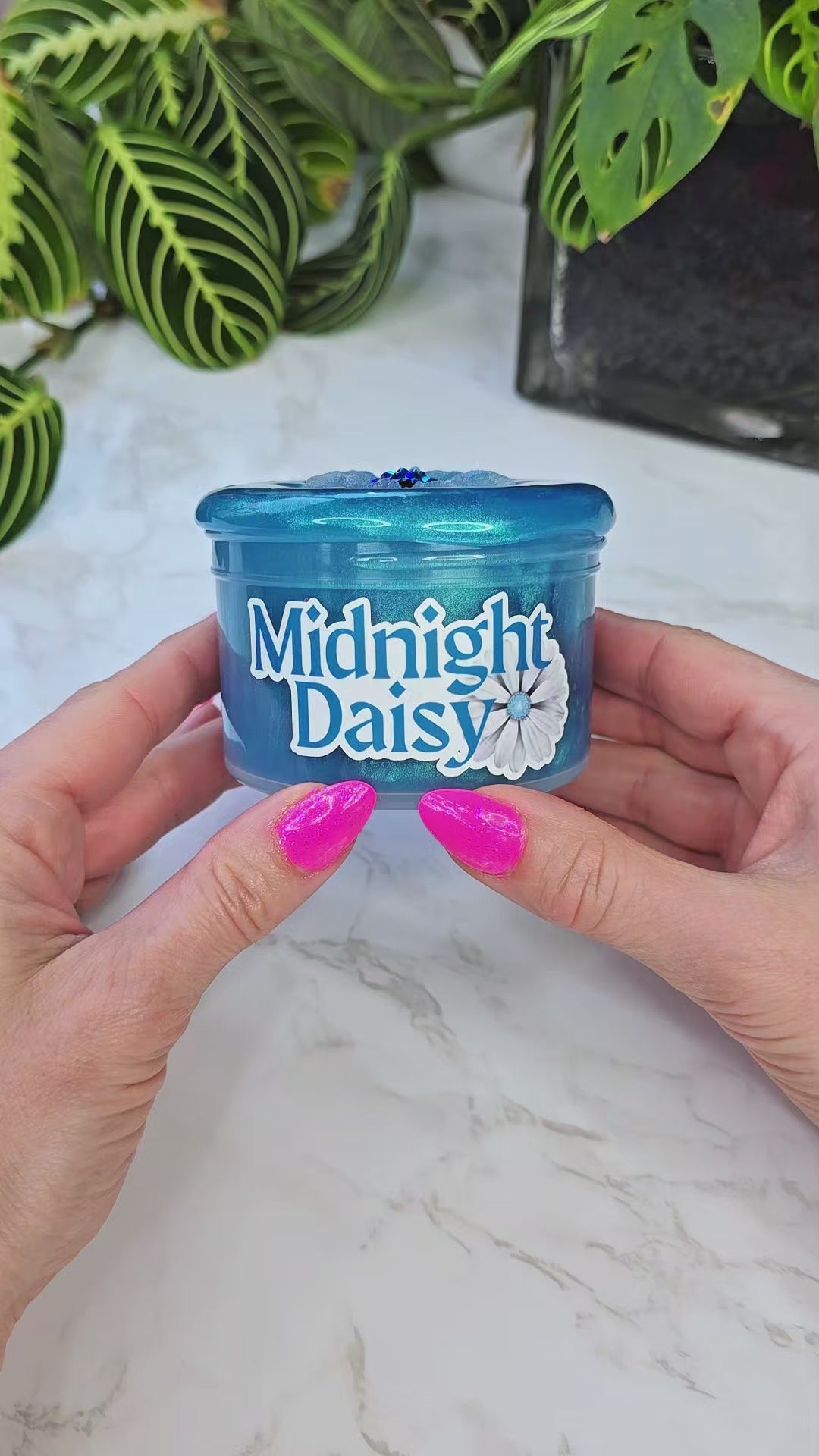 Midnight Daisy